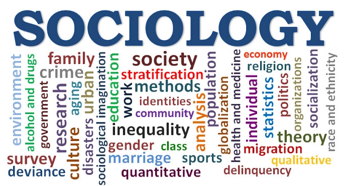 xã hội học là gì