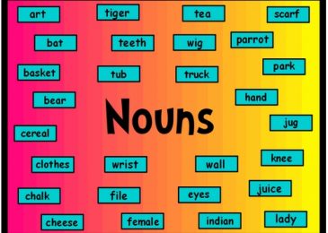 Thông tin về các loại danh từ trong tiếng Anh cơ bản nhất