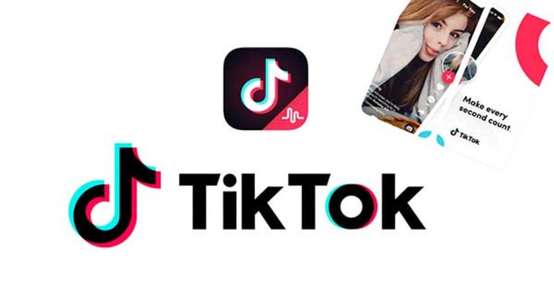 TikTok downloader video
